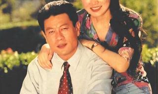 巫刚主演的电视剧